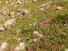 DSCN0490.jpg