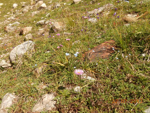 DSCN0490.jpg
