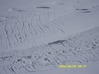 SDC10803.jpg