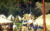 Новый лагерь, 1984 год