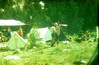 Палаточный лагерь после селя - 1